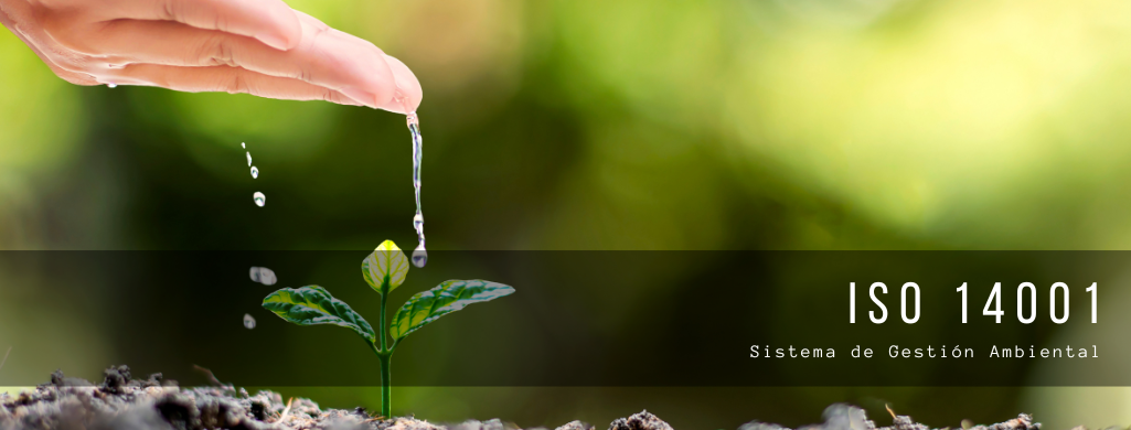 ISO 14001